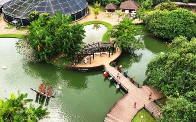 Mangal. Foto Pará 2000